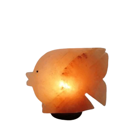 Fish Salt Lamp