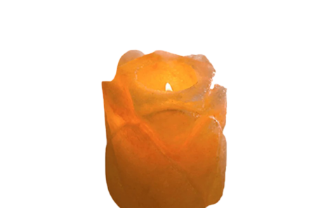 Flower Candle Holder
