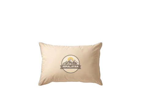 Healing Pillow