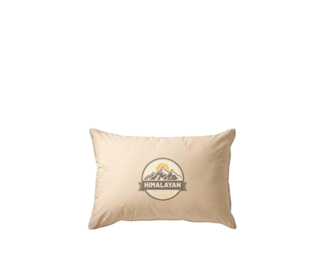 Healing Pillow