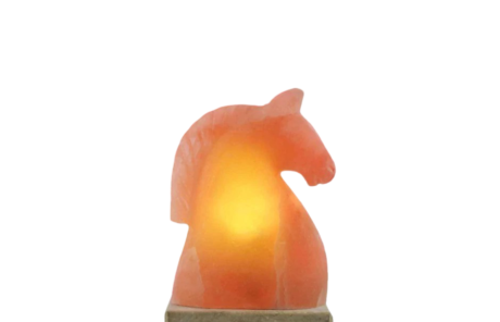 Horse Face Salt Lamp