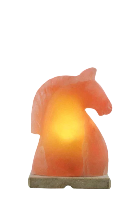 Horse Face Salt Lamp