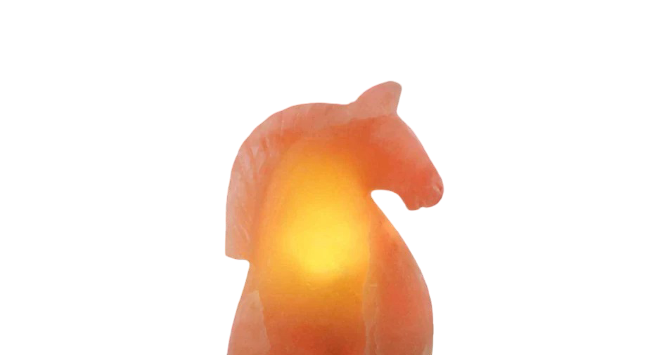 Horse Face Salt Lamp