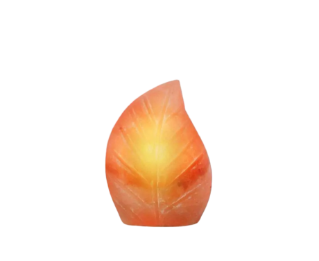 Leaf Salt Lamp