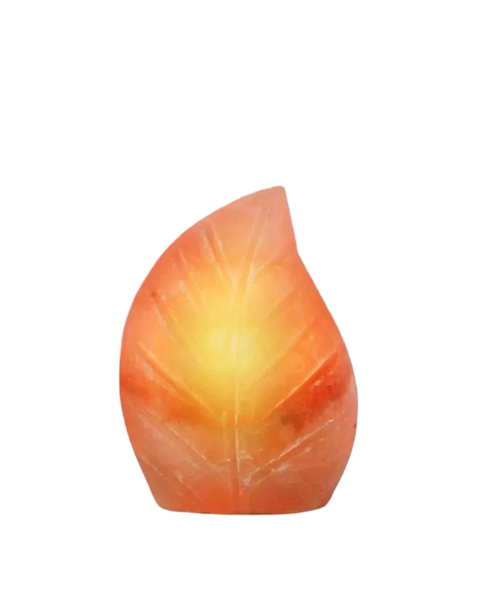 Leaf Salt Lamp