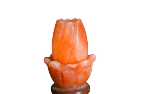 Lotus Salt Lamp