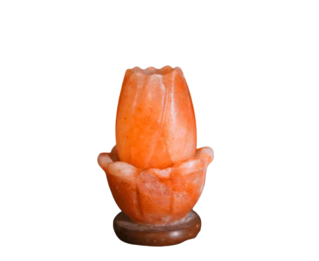 Lotus Salt Lamp