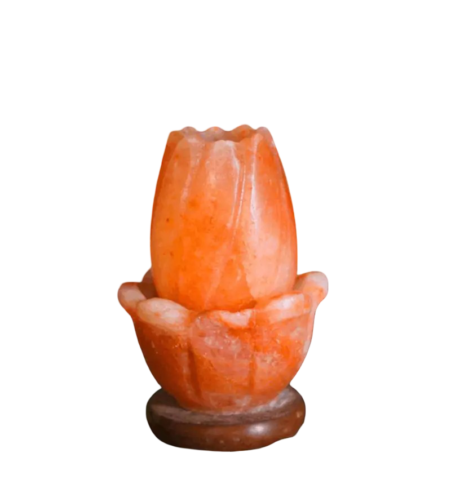 Lotus Salt Lamp