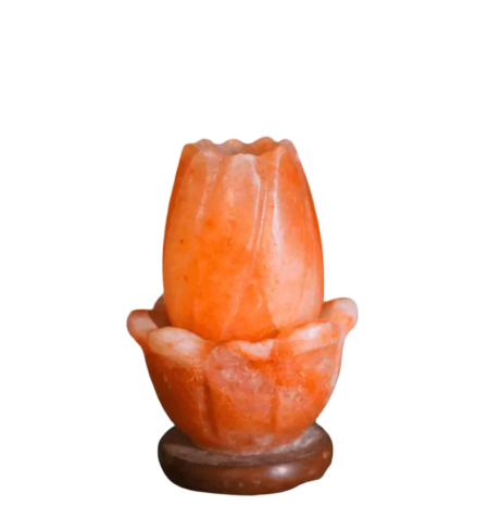 Lotus Salt Lamp