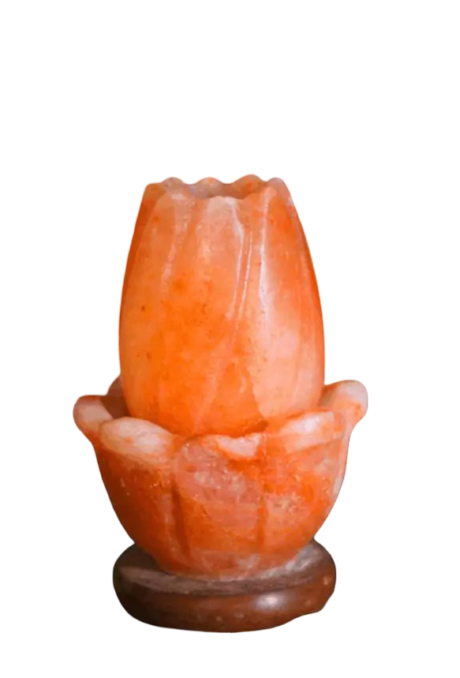 Lotus Salt Lamp