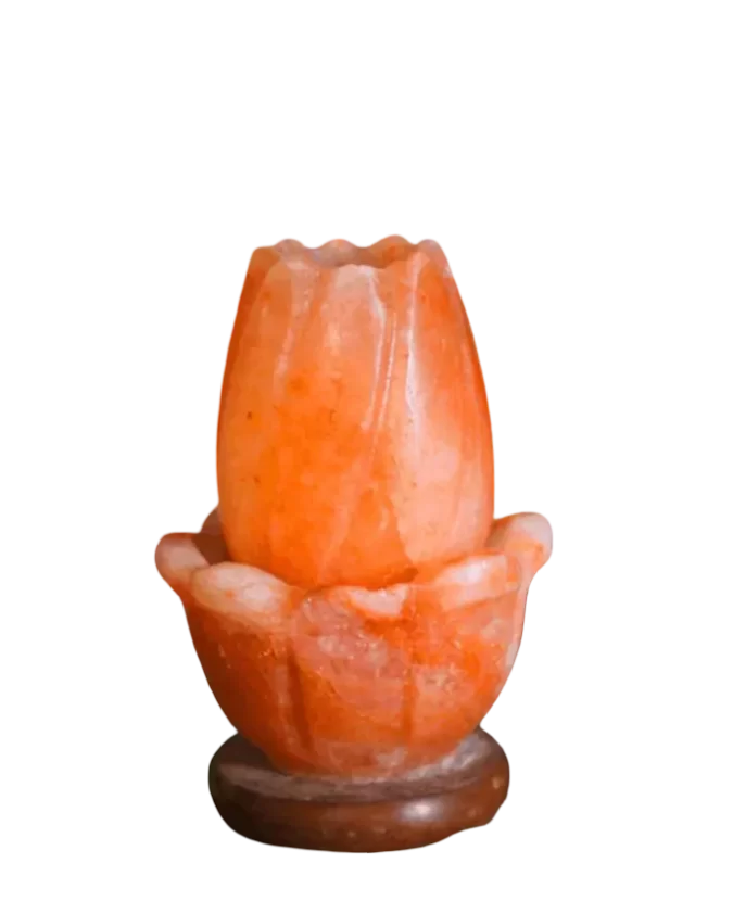 Lotus Salt Lamp