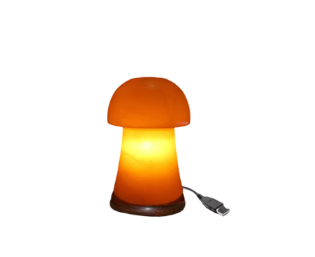 Mushroom USB Lamp