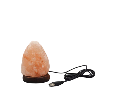 Natural USB Lamp
