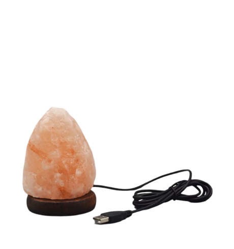 Natural USB Lamp