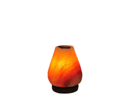 Oval Aroma Salt Lamp