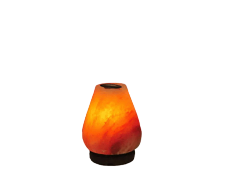 Oval Aroma Salt Lamp