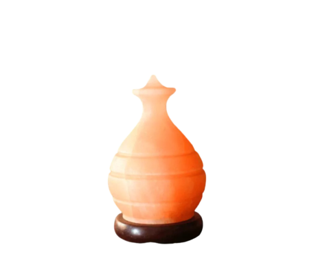 Pot Salt Lamp