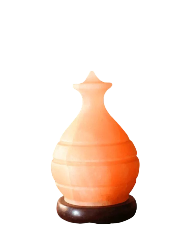 Pot Salt Lamp