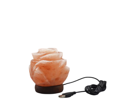 Rose USB Lamp