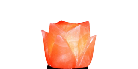 Tulip Salt Lamp