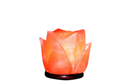 Tulip Salt Lamp
