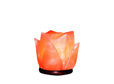 Tulip Salt Lamp
