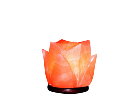 Tulip Salt Lamp