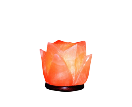 Tulip Salt Lamp
