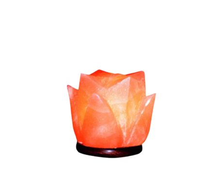 Tulip Salt Lamp
