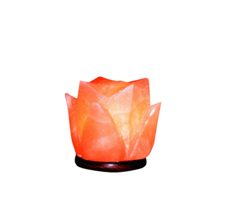 Tulip Salt Lamp