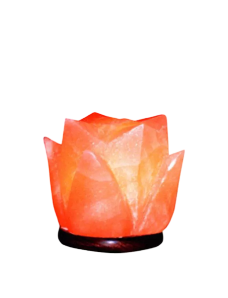 Tulip Salt Lamp