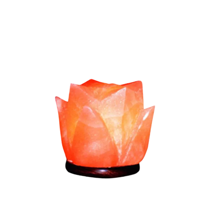 Tulip Salt Lamp
