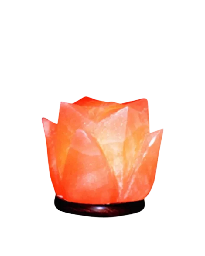 Tulip Salt Lamp