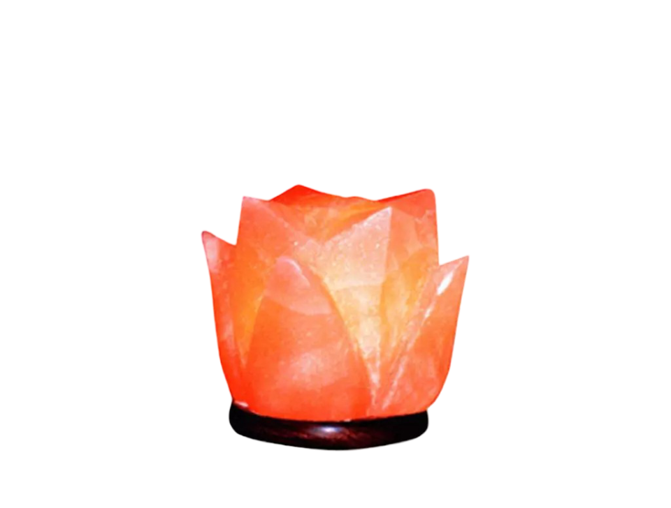 Tulip Salt Lamp