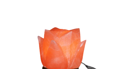 Tulip USB Lamp