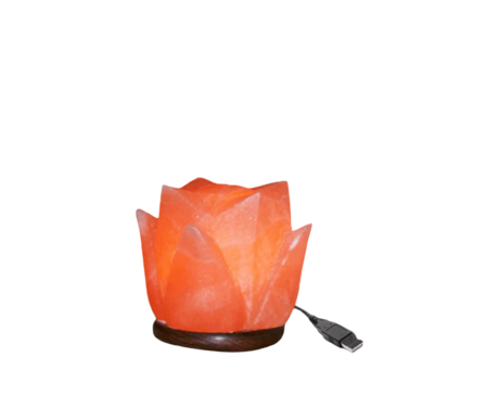Tulip USB Lamp