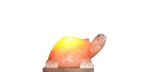 Turtle Salt Lamp