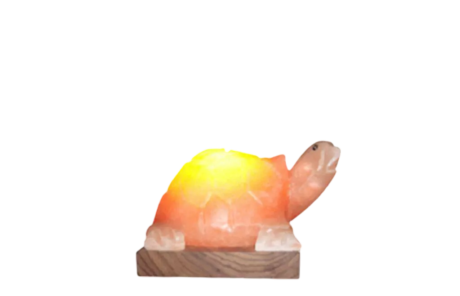 Turtle Salt Lamp