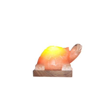 Turtle Salt Lamp