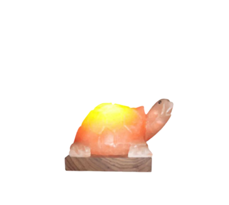 Turtle Salt Lamp