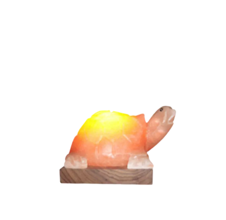Turtle Salt Lamp