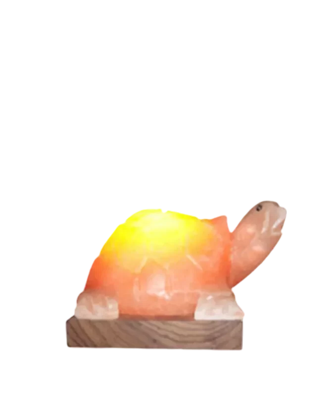 Turtle Salt Lamp