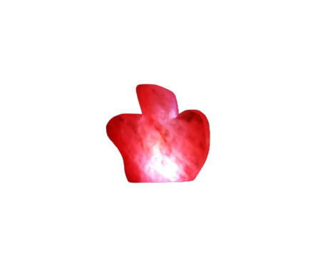 apple Usb Salt Lamp