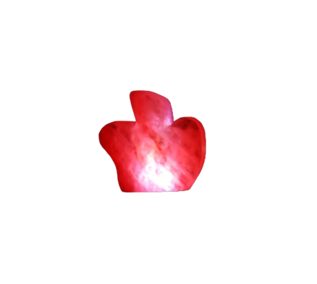 apple Usb Salt Lamp