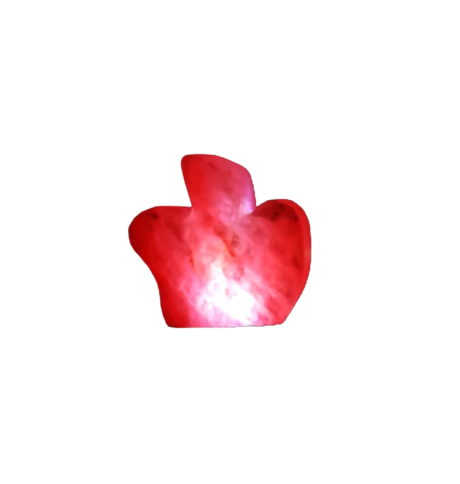 apple Usb Salt Lamp