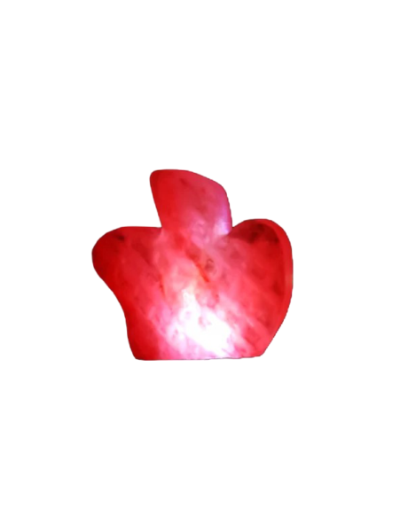 apple Usb Salt Lamp