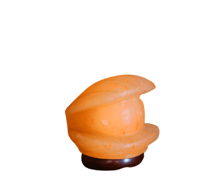 shell salt lamp