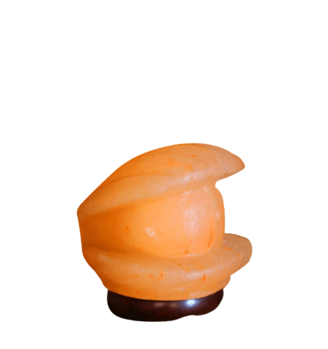 shell salt lamp
