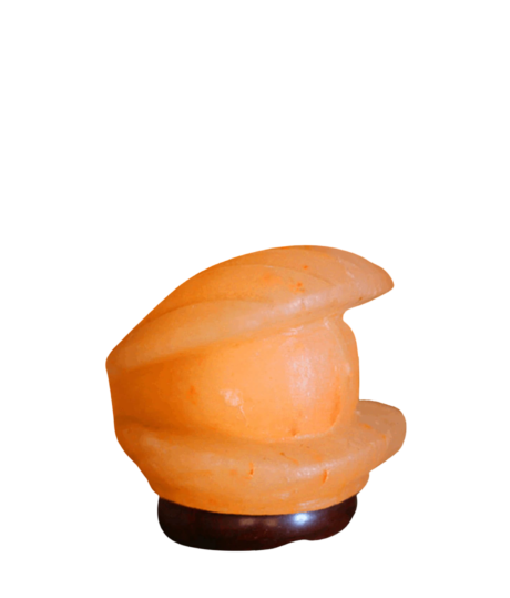 shell salt lamp