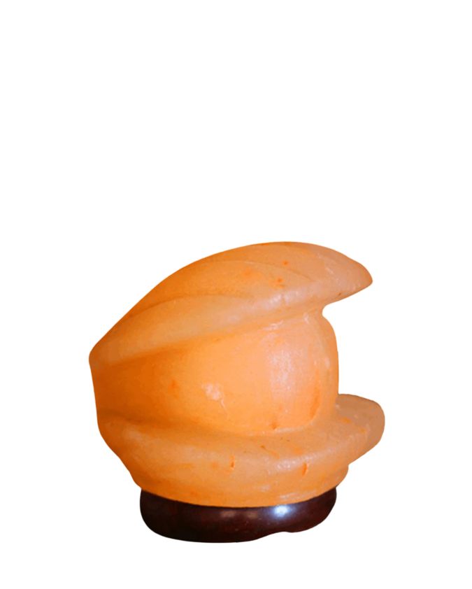 shell salt lamp